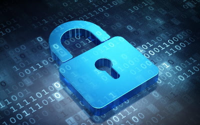 Bingo website security and safety